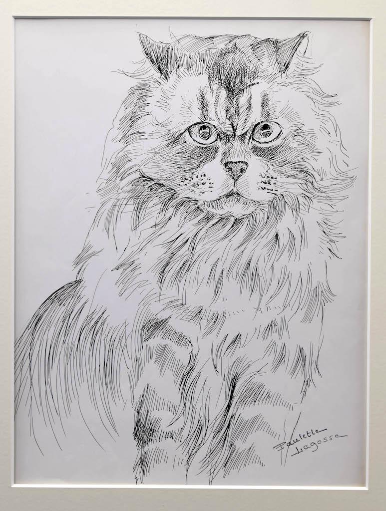pen and ink cat drawings