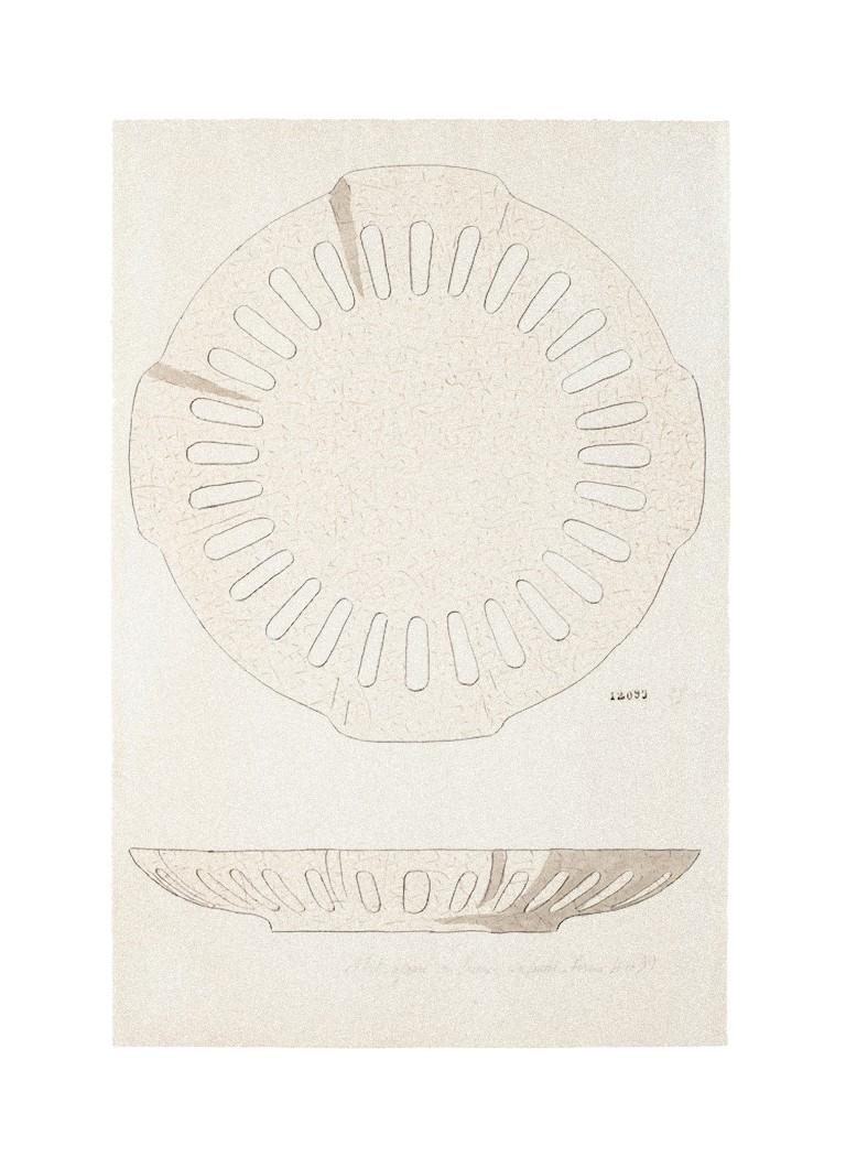 Plate - Watercolor and China Ink - 1880 ca.