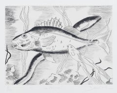 Vintage Fish - Original Etching by Maurice Bouval -  1960s