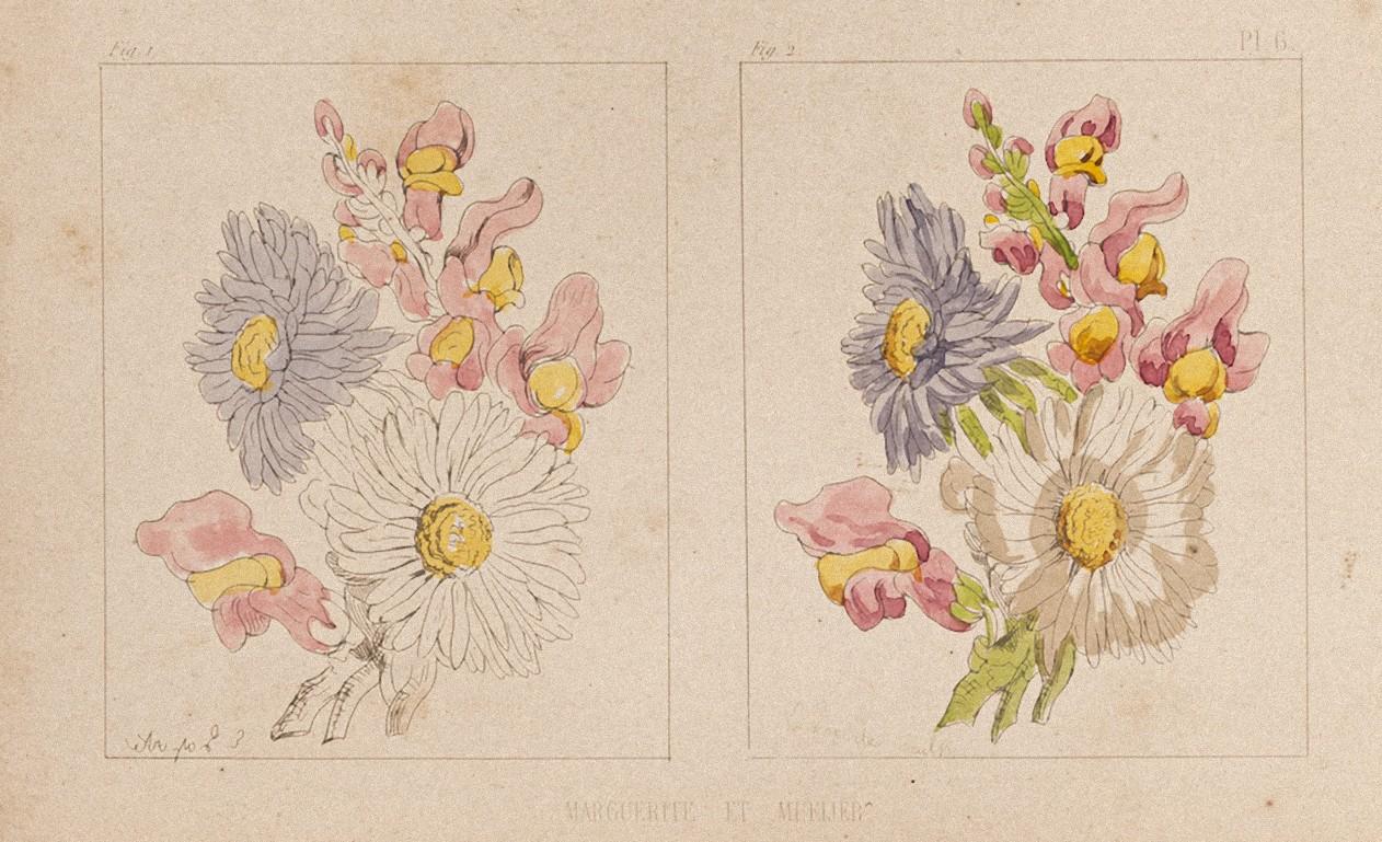 The Flowers is an original lithograph on paper, realized by  E. Laport in about 1860.

The state of preservation is good except for some diffused stains.

Hand-colored.

Plate no.6

Sheet dimension: 13 x 21

The artwork represents attractive flowers