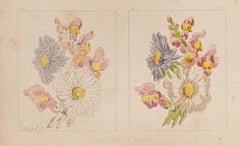 The Flowers - Lithograph on Paper by E. Laport - 1860