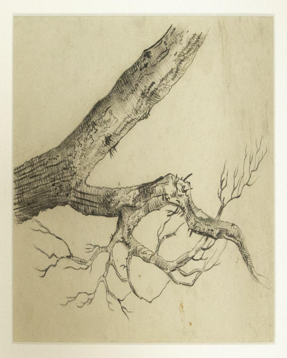Unknown Figurative Art - Tree - Pencil Drawing - Early 20th Century