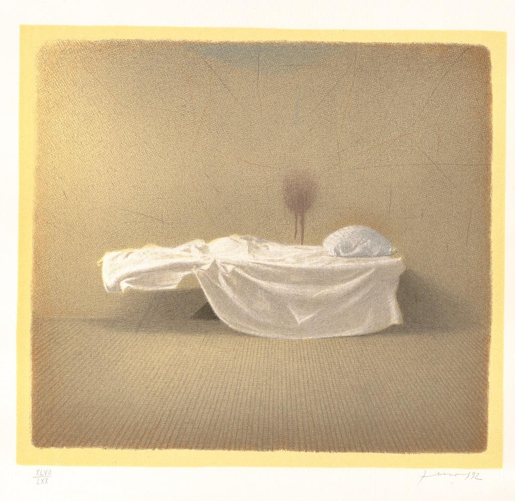 The Cot is an original contemporary artwork realized by the Italian artist Gianfranco Ferroni (Livorno, 1927 - Bergamo, 2001) in 1992.

Original Lithograph. Edition on 70 prints. 

285 x 315 mm.

Hand-signed and dated on the lower right corner in