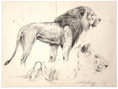 Study of Lion and Lioness - Original Drawing by Wilhelm Lorenz -Mid-20th Century