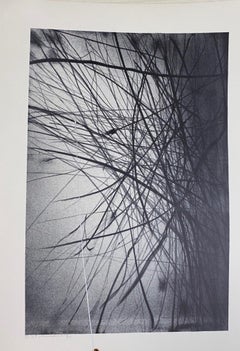 Variations in the Ether - Originallithographie von Gianni Saccomandi - 1974