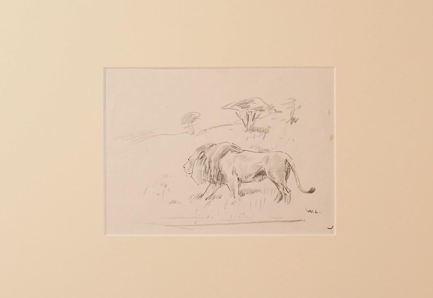 Estudio de león - Dibujo de Wilhelm Lorenz - Mediados del siglo XX en venta 1
