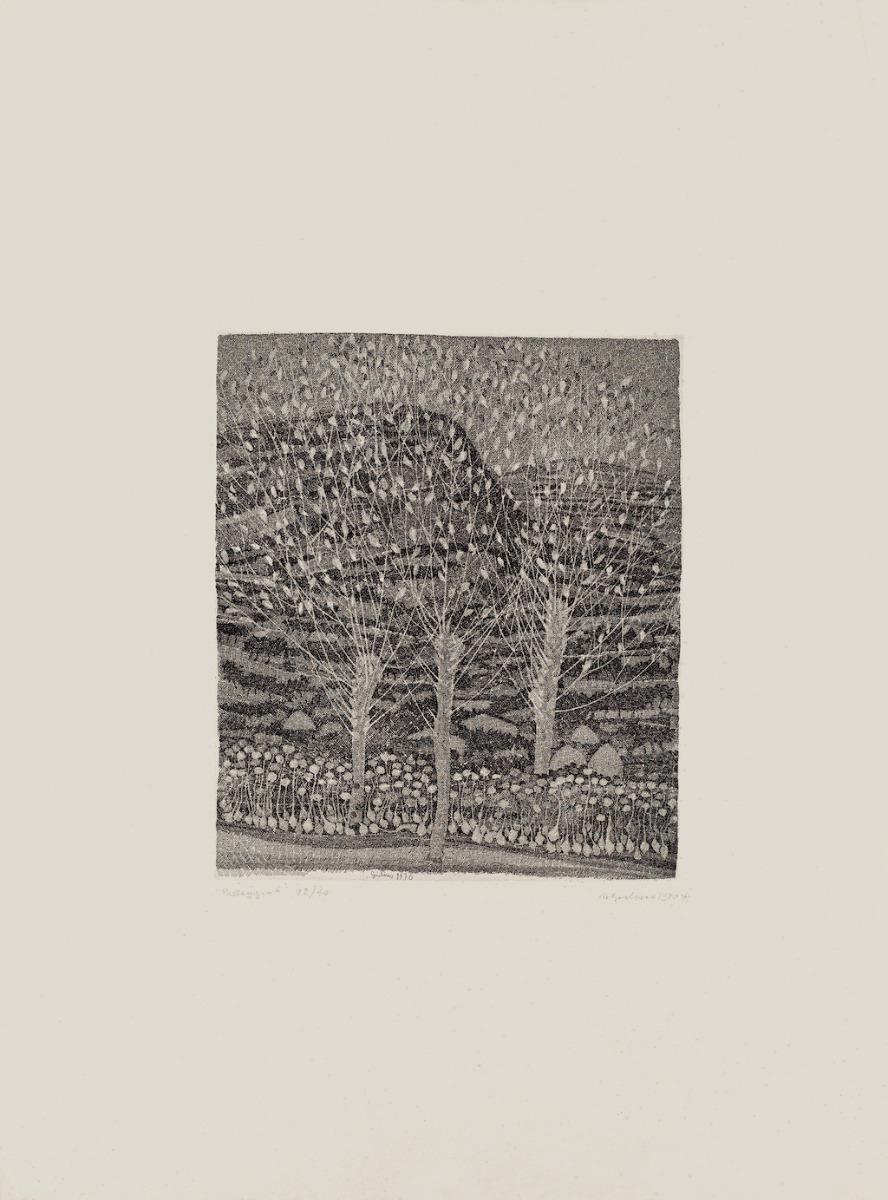 Landscape is an original etching realized by Nunzio Gulino in 1970.

Hand-signed on the lower right.

Numbered. edition, 22/40.

Good conditions.

The artwork represents a landscape through strong strokes with perfect hatching in a well-balanced