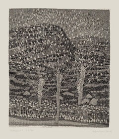 Landscape - Etching by Nunzio Gulino - 1970