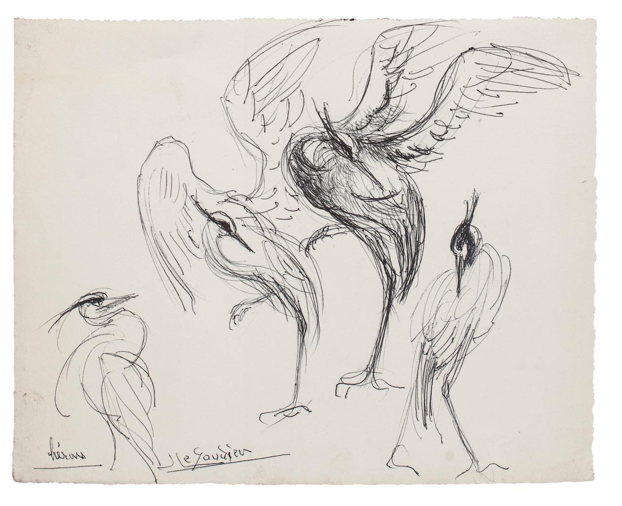 Unknown Figurative Art - Bird - Original Pen Drawing - Mid-20th Century