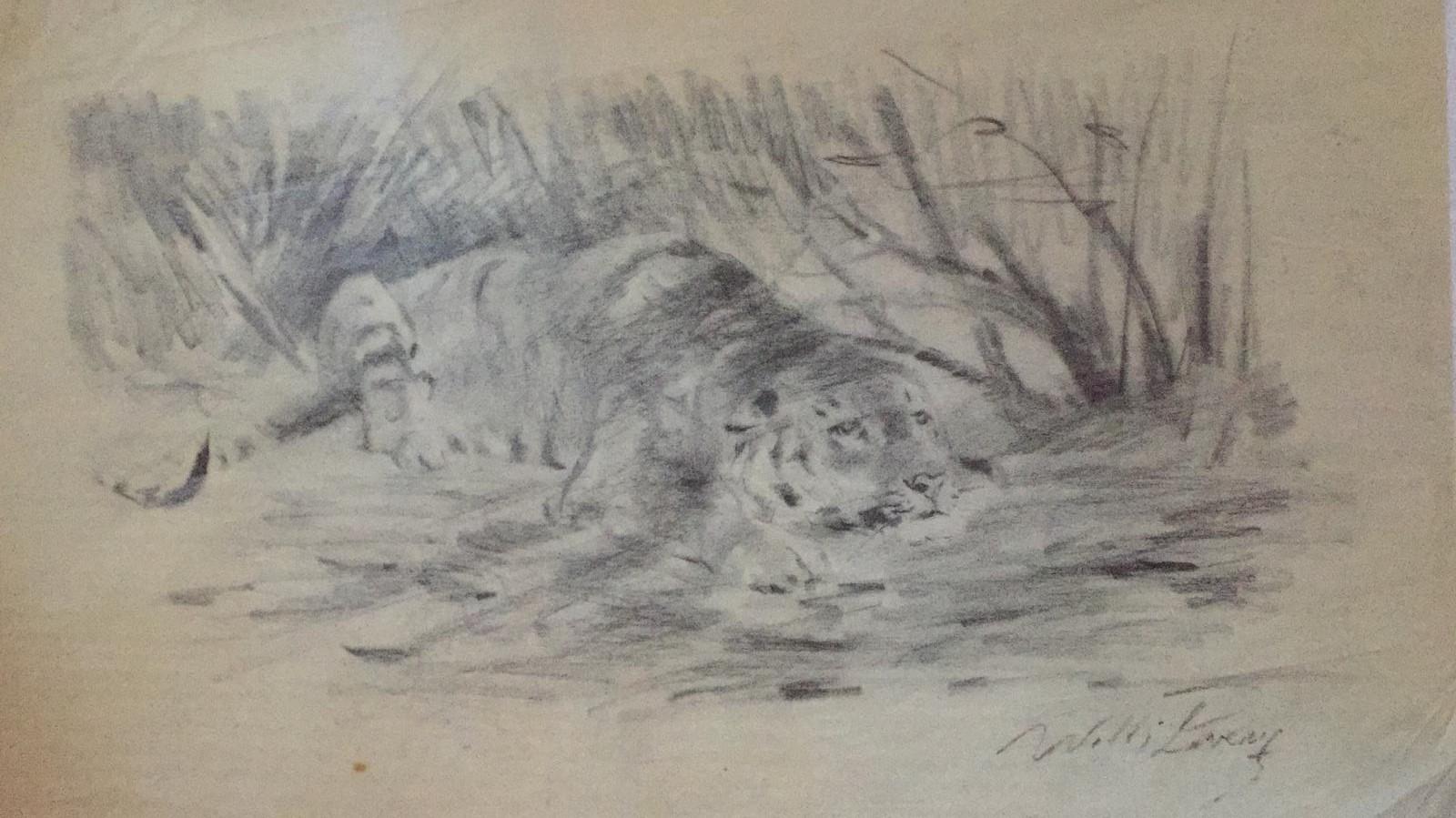 Tiger at rest is a beautiful original drawing on sketch paper realized in the XX century by the German artist Wilhelm Lorenz, also known as Willi Lorenz. 

This is a preparatory study representing a tiger at rest, made with fresh lines and a sure