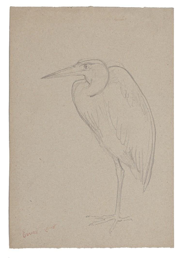 Unknown Figurative Art - Stork - Original Pencil on Paper - Mid-20th Century