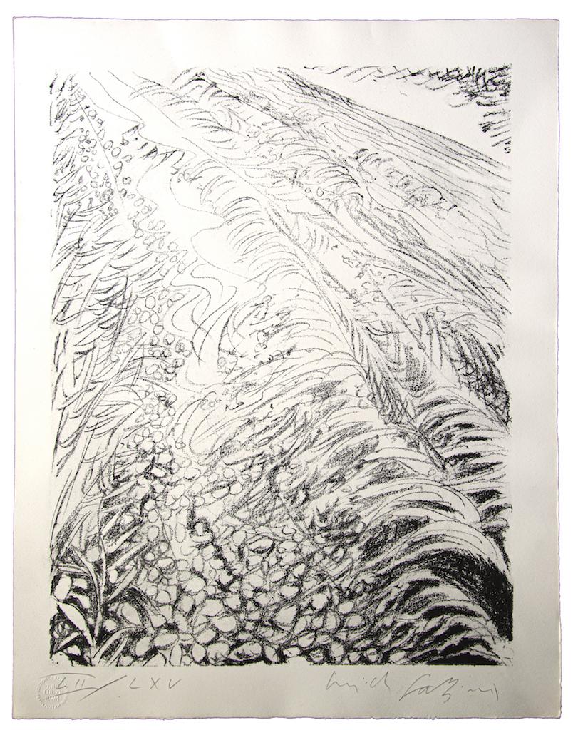 Field - Lithographie de Pericle Fazzini - 1960 environ