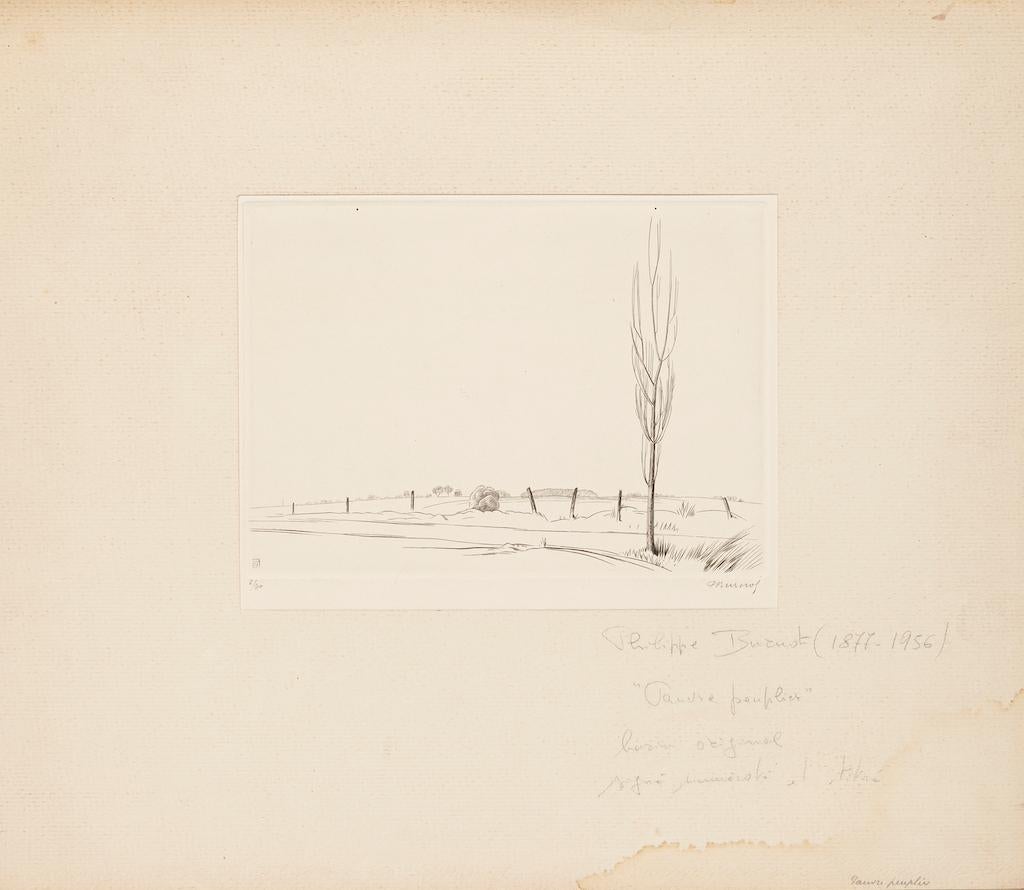 Sole Baum - Original-Radierung von Philippe Burnot - Anfang des 20. Jahrhunderts