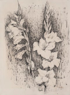 Vintage Gladiolus - Original China Ink by Chittaro - 1956