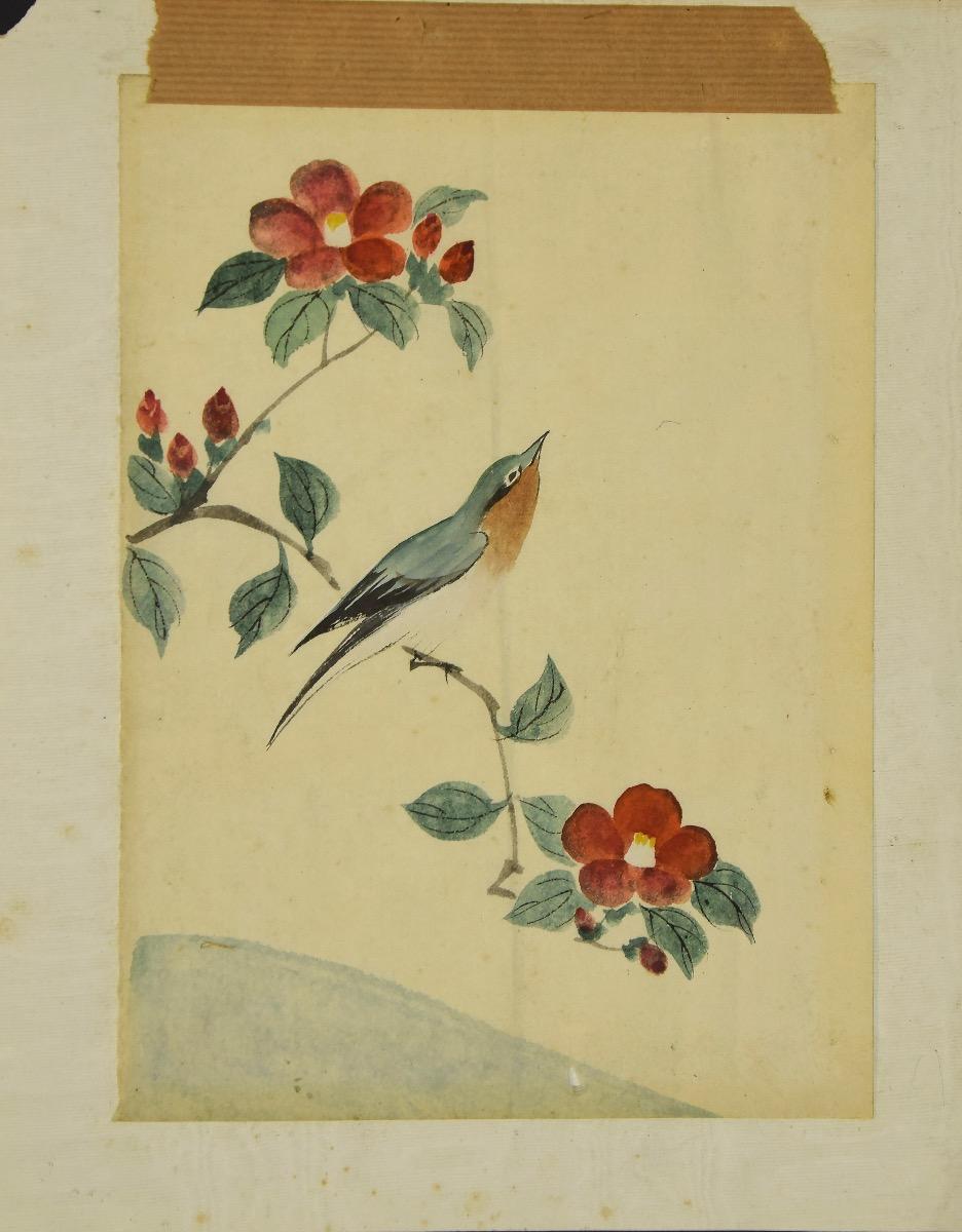 Vogel auf dem Branch - Original Aquarell - 19. Jahrhundert