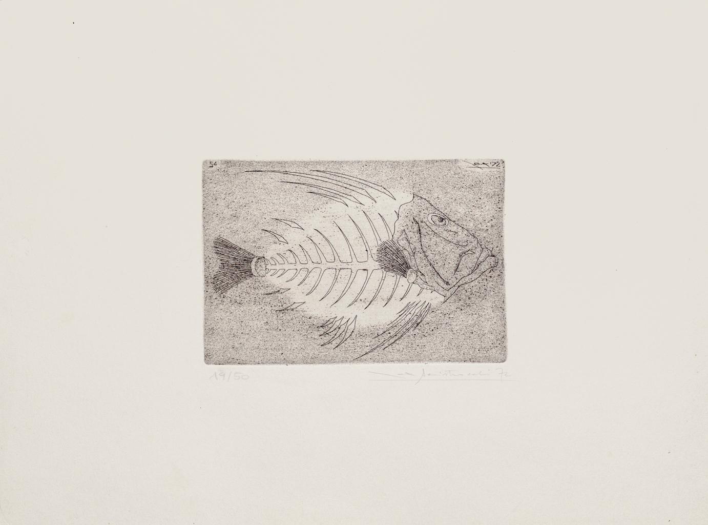 "Fishbone" is a beautiful print in etching technique, realized by Massimo Baistrocchi in 1972.

Hand-signed and dated, on the lower right in pencil, Numbered, edition of 19/50 prints.

This print represents a fishbone, with attention to every