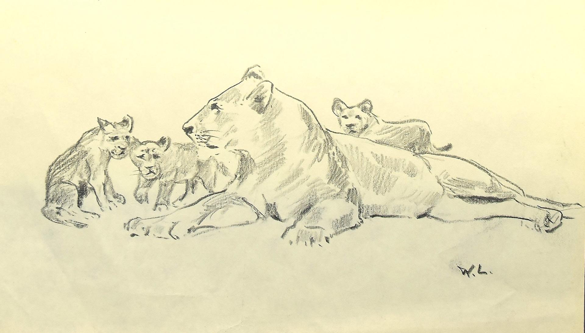 Willy Lorenz Animal Art - The Lioness and Her Cubs - Pencil on Paper by W. Lorenz - Mid-20th Century