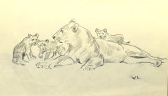 Vintage The Lioness and Her Cubs - Pencil on Paper by W. Lorenz - Mid-20th Century