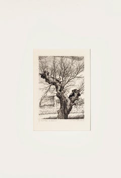 The Oak - Etching by A. R. Brudieux - 1960s