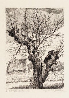 The Oak - Etching by A. R. Brudieux - 1960s
