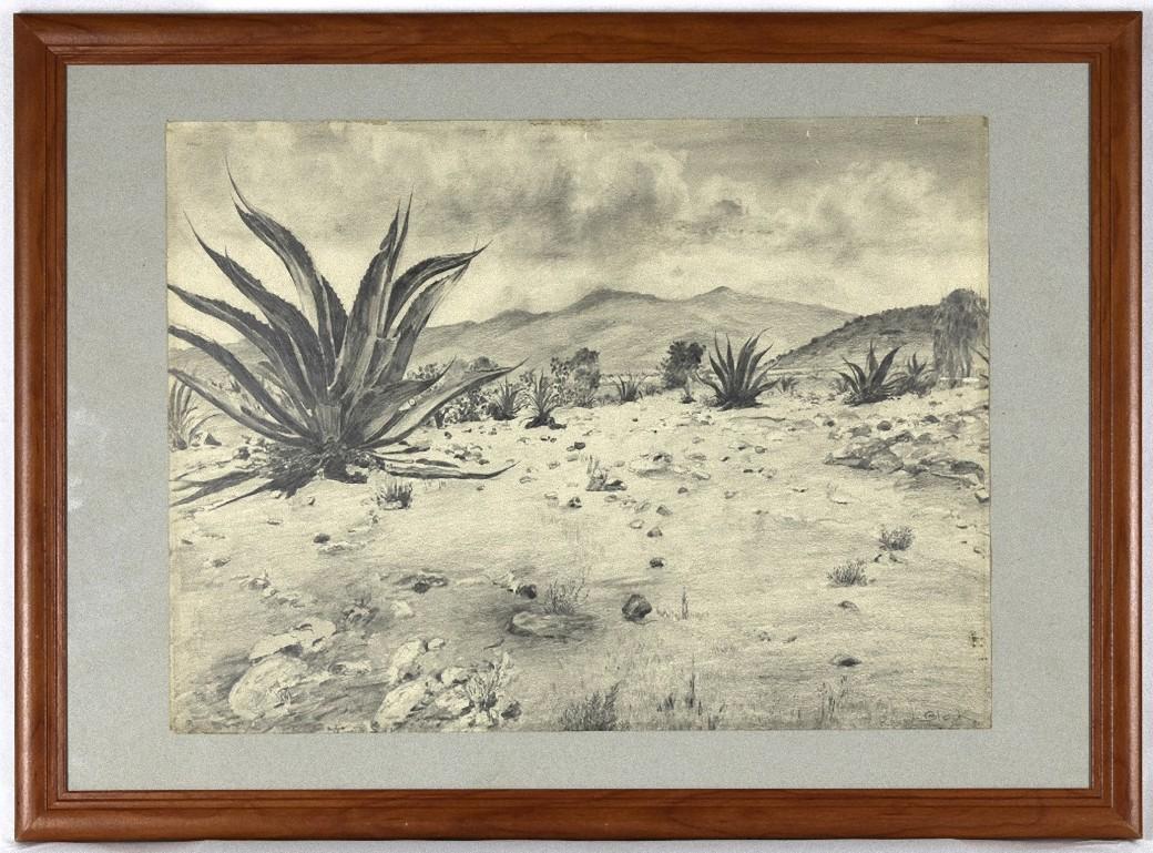 Landscape with Agave - Original Drawing by Robert Block - 1970s - Art by Unknown