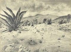 Vintage Landscape with Agave - Original Drawing by Robert Block - 1970s