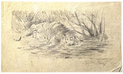 Tigre - Crayon sur papier d'origine de Wilhelm Lorenz - années 1950