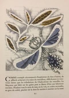 Le Monde Merveilleux des Insectes - Rare Book Illustrated by Jean Lurçat - 1950