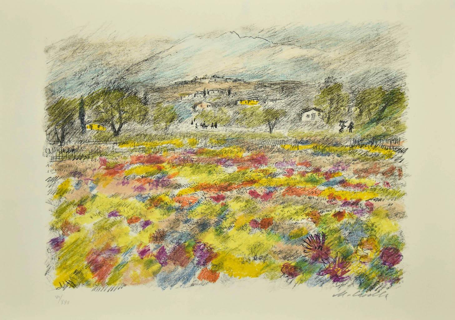 Panorama es una litografía original sobre papel, realizada por Michele Cascella.

Firmado a mano en la parte inferior derecha a lápiz y numerado en números romanos, edición de VI/XXV.

El estado de conservación de las obras de arte es muy bueno.

La