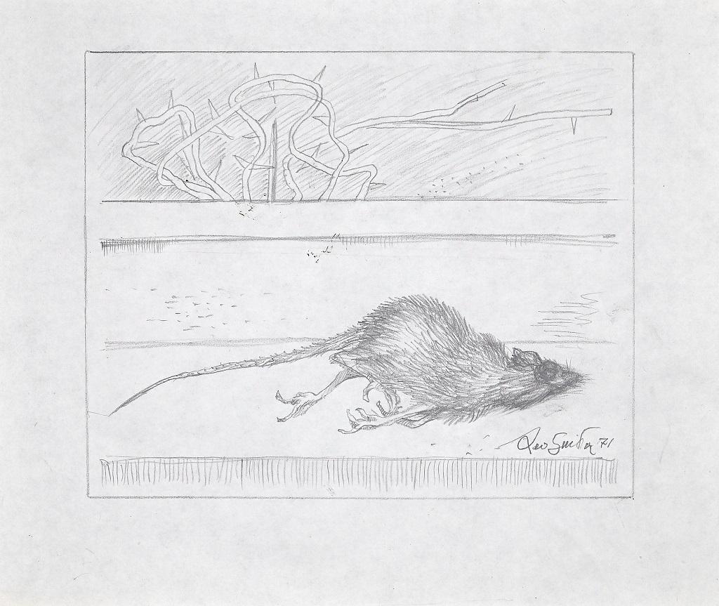 Dead Rat est un dessin original au crayon contemporain réalisé en 1971 par Leo Guida. 

Dessin original sur papier. Dimensions : cm 28 x 33.

Signé et daté à la main dans le coin inférieur droit. 

État neuf. 

Très belle œuvre d'art représentant un