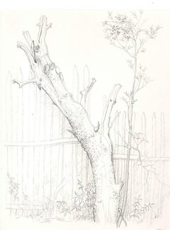 Arbre à Saint Moreil - Original Pencil Drawing by A. R. Brudieux - 1960s