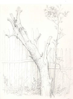 Vintage Arbre à Saint Moreil - Original Pencil Drawing by A. R. Brudieux - 1960s