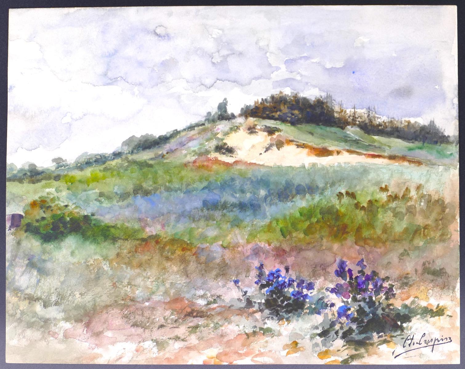 Paysage de Colline is a colorful original watercolor painting on paper, realized at the first decades of 20th Century by the Belgian Art Nouveau artist, Louis Adolphe Charle Crespin (1859-1944).

In very good conditions, with bright colors, at the