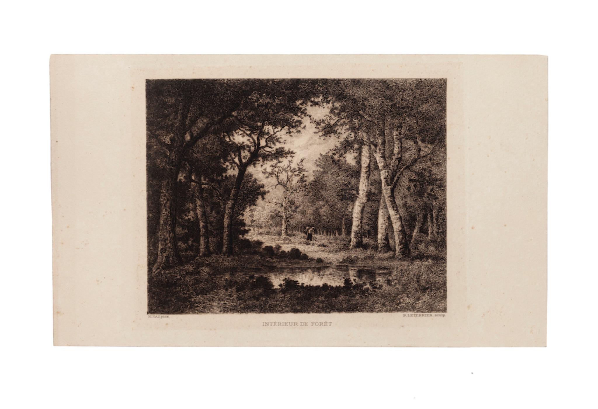 Intérieur de Forêt - Original Etching by Diaz - 1880 ca