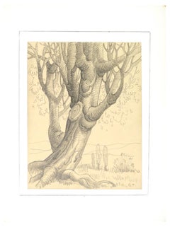 Tree - Original Pencil Drawing by George-Henri Tribout - Early 20th Century