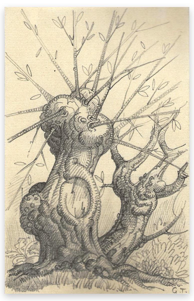 Tree - Original Pencil Drawing by George-Henri Tribout - Early 20th Century