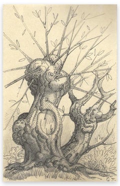 Antique Tree - Original Pencil Drawing by George-Henri Tribout - Early 20th Century