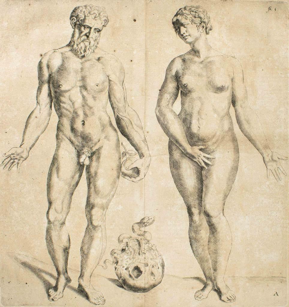 Man and Woman is a original etching realized as plate no. 1 of Andrea Vesalio's "De Humani Corporis Fabrica".  

The "De Humani Corporis Fabrica is commonly considered a major advance in the history of medicine and anatomy in particular, as well as