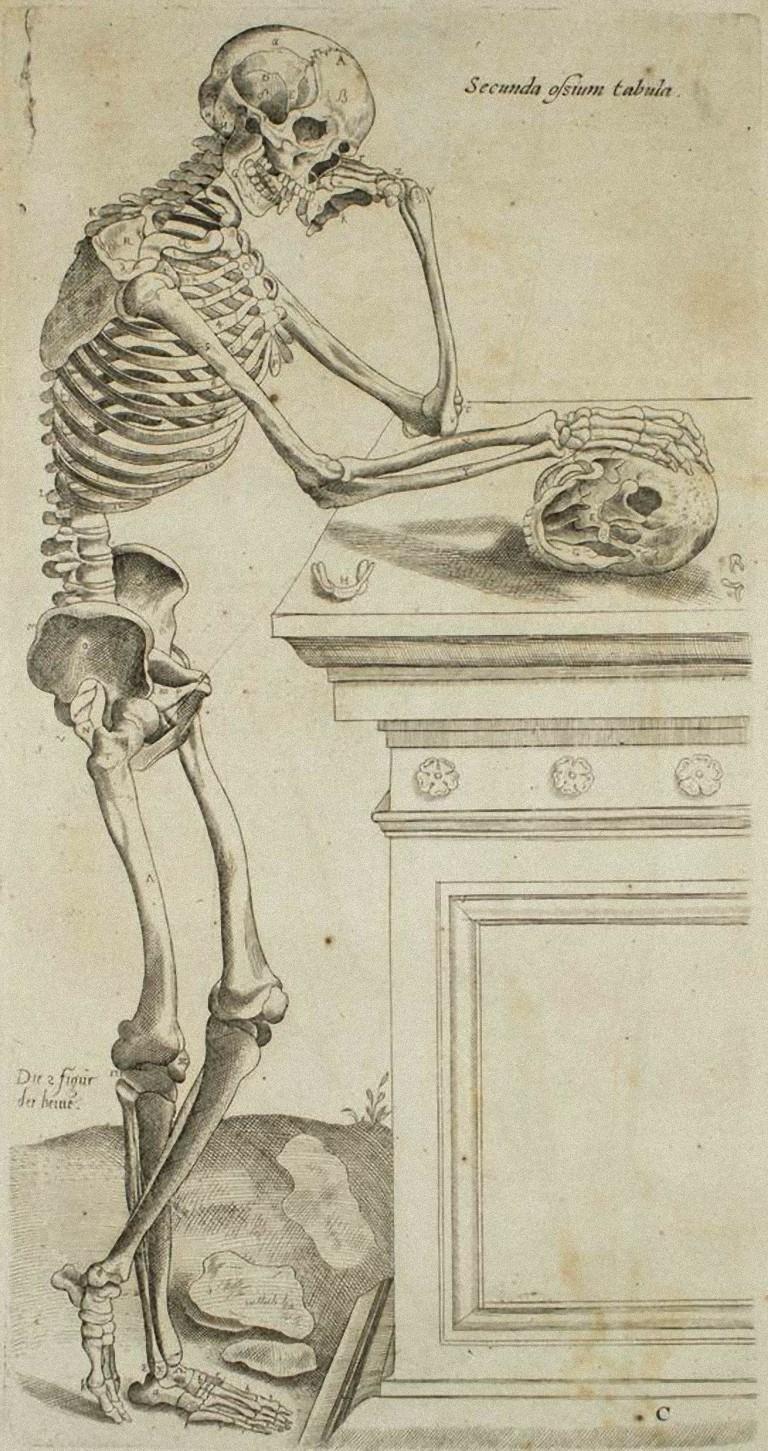 Andrea Vesalio Figurative Print - Thinking Skull - The Bones - From De Humani Corporis Fabrica Tab. no. 7 - 1642