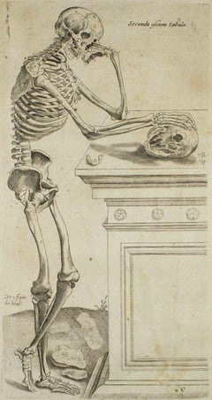 Thinking Skull - The Bones - From De Humani Corporis Fabrica Tab. no. 7 - 1642