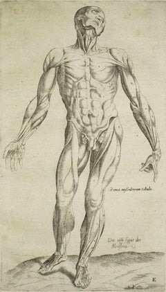 Antique The Human Body -  De Humani Corporis Fabrica- by Andrea Vesalio - 1642