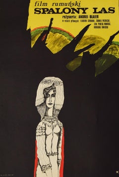 Spalony Las Vintage Poster - Offset Print by Stachubki - 1974