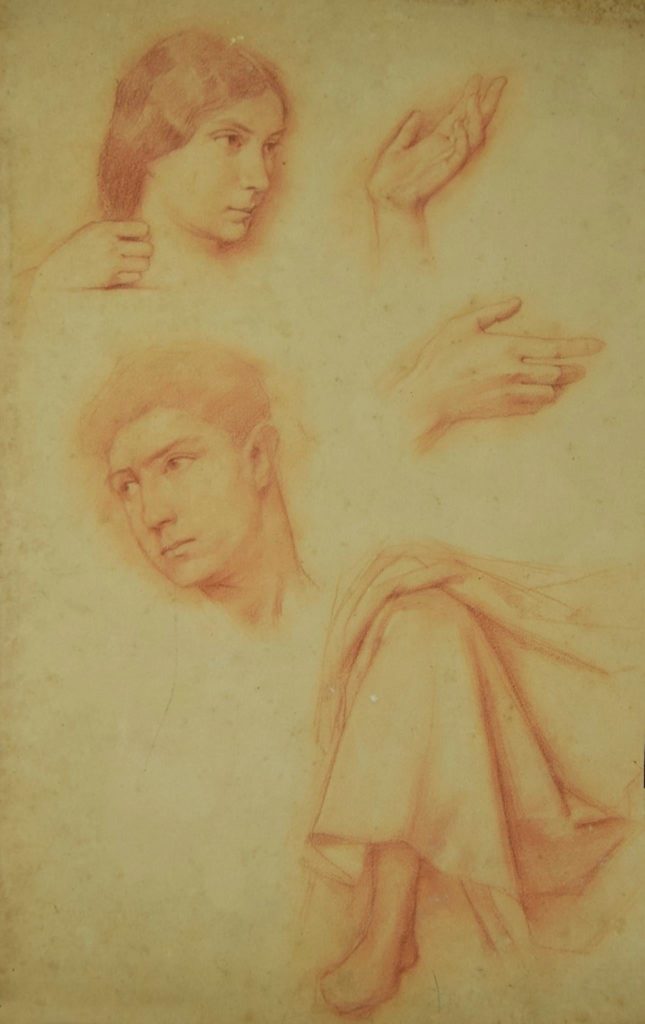 Études anatomiques - dessin original au crayon - XIXe siècle