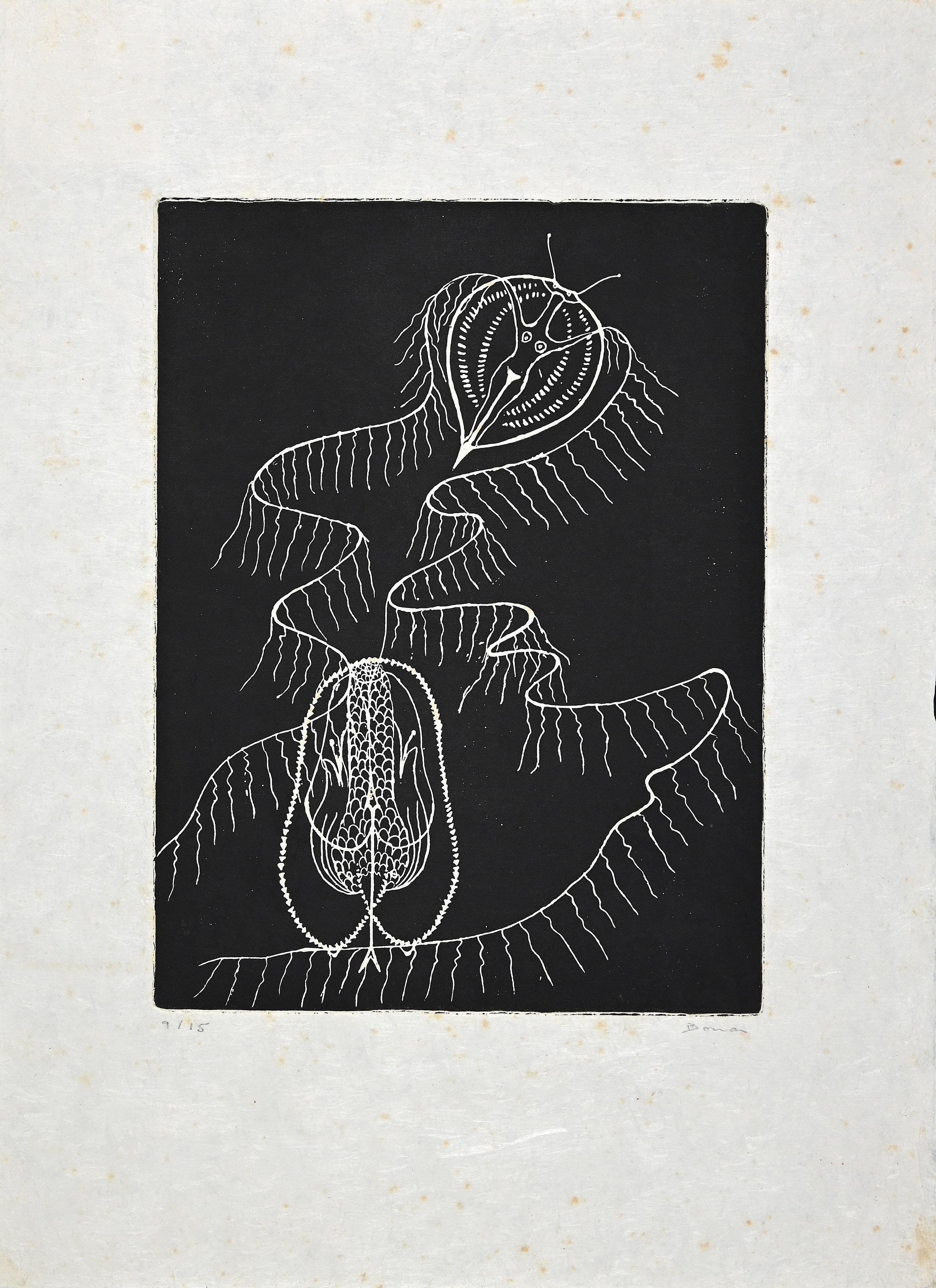 Untitled - Etching by Bona de Pisis - Late 20th Century
