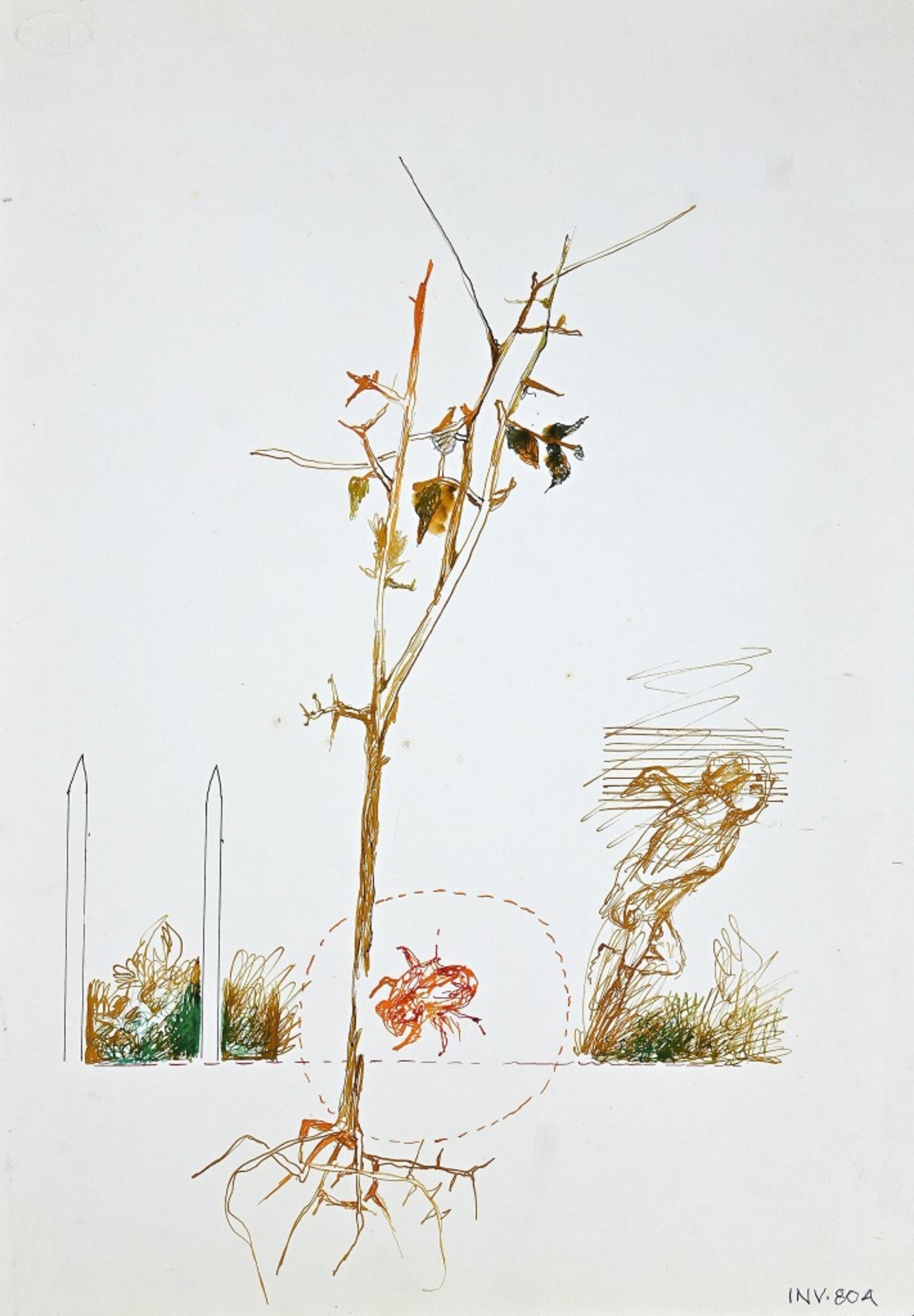 L'arbre - Dessin et aquarelle d'origine à l'encre - années 1970