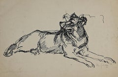 The Dog - Original Ink - Mid-20th Century
