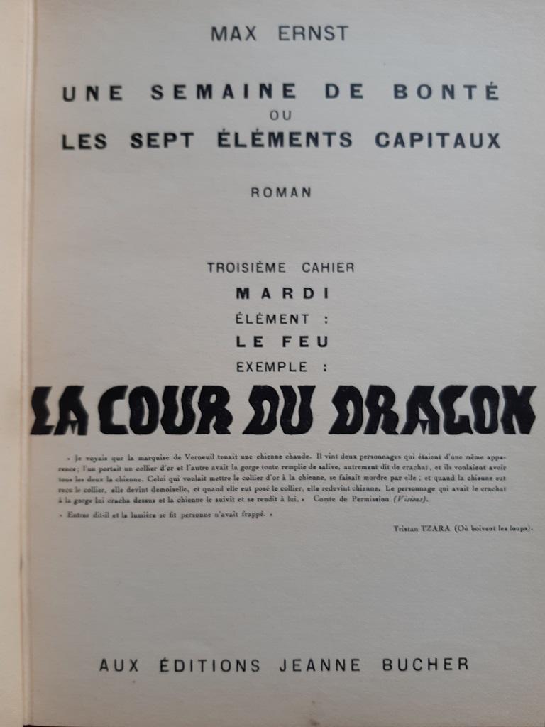 Une Semaine de Bonté - Vintage Rare Book Illustrated by Max Ernst - 1934 10