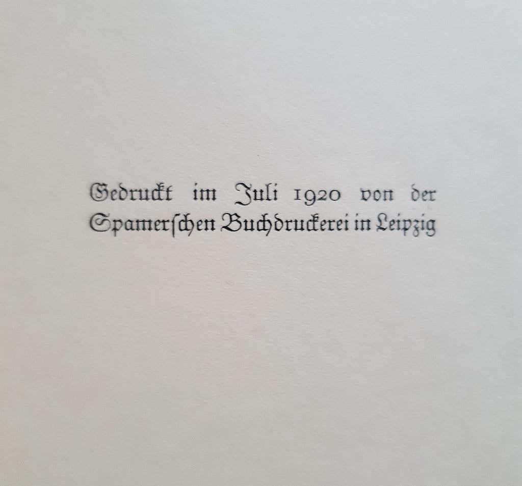 Kandide oder die beste Welt - Vintage Rare Book Illustrated by Paul Klee - 1920 For Sale 6