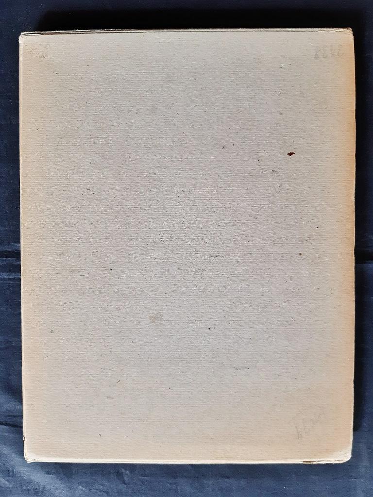 Kandide oder die beste Welt - Vintage Rare Book Illustrated by Paul Klee - 1920 For Sale 3