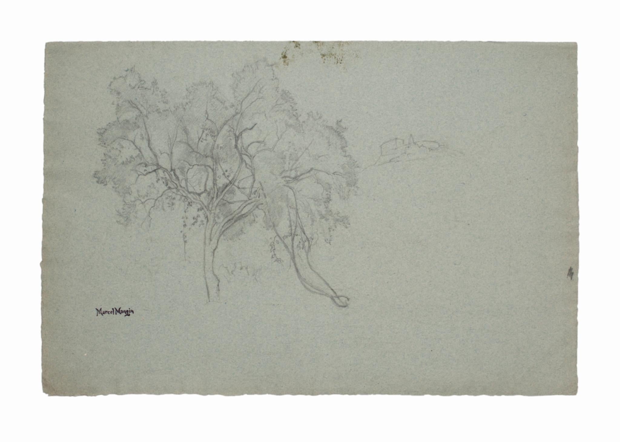 Trees, dessin original au crayon de Marcel Mangin, milieu du 20e siècle